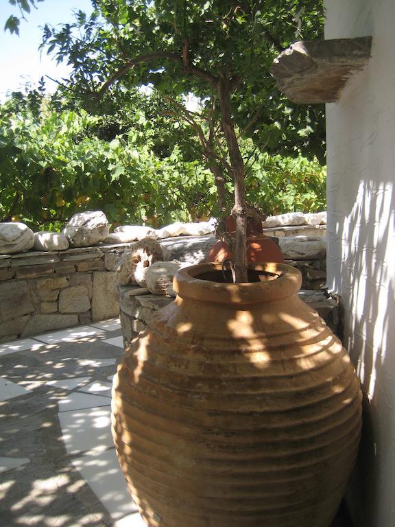Paros Apartments Extérieur photo